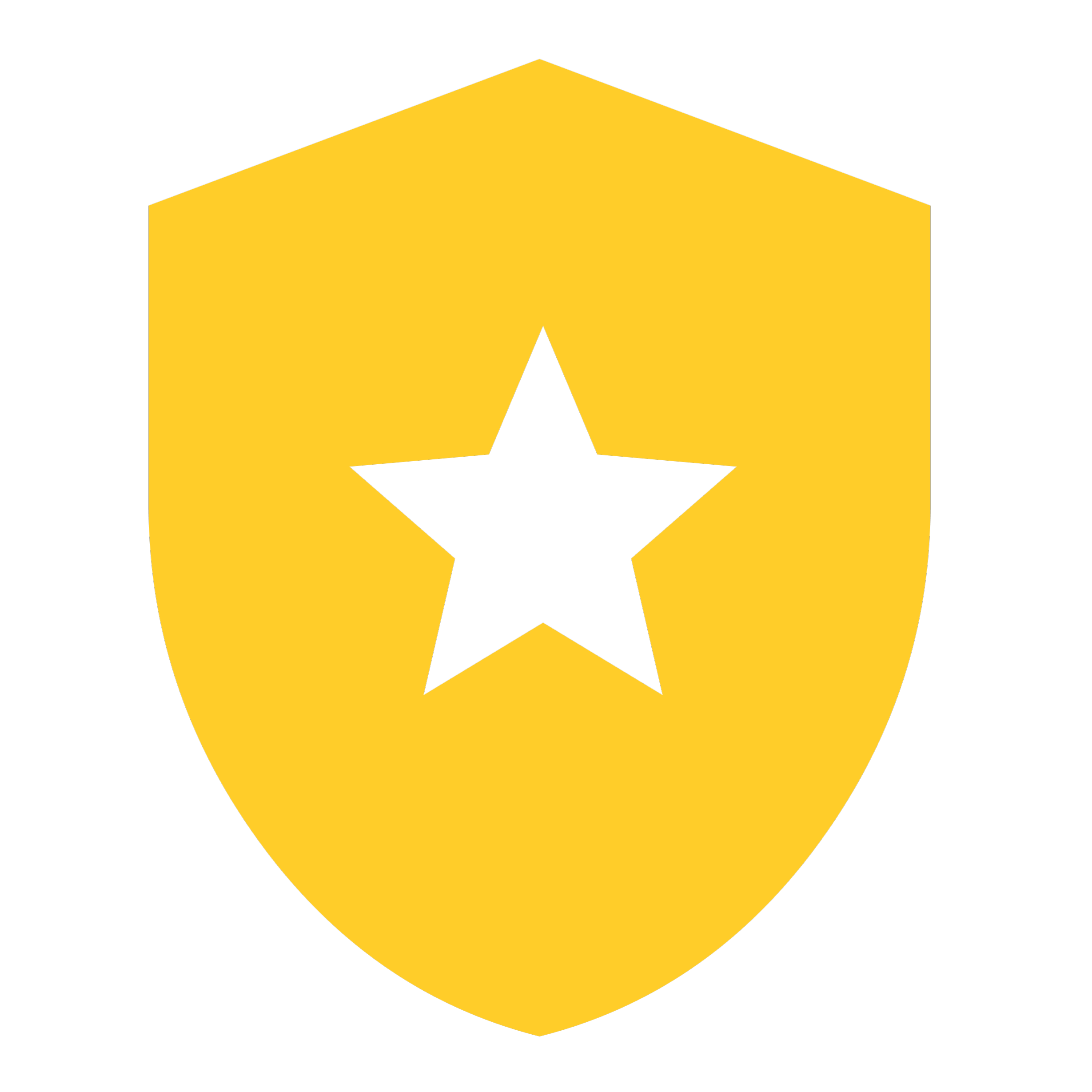 Shield